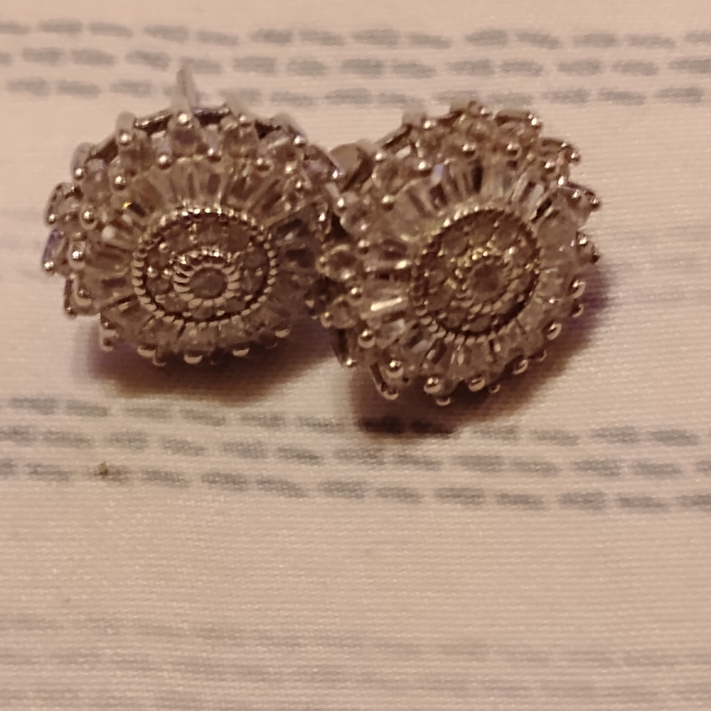 Elegant Silver Stud Earrings